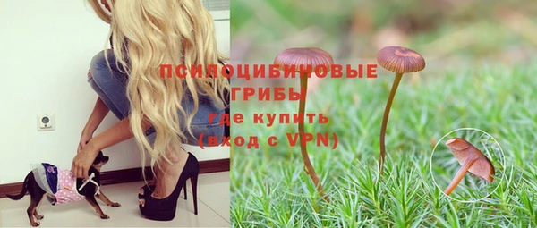 прущая мука Арсеньев