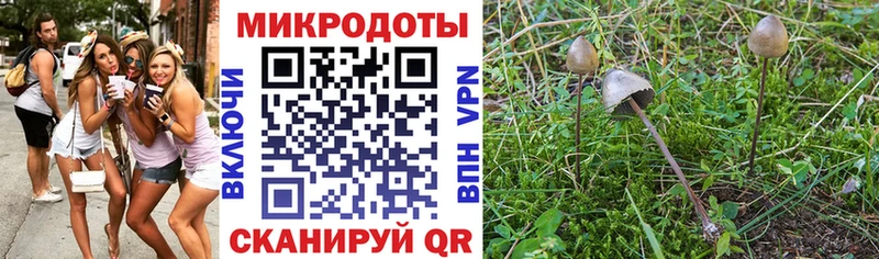 купить наркотик  Сатка  Псилоцибиновые грибы мицелий 